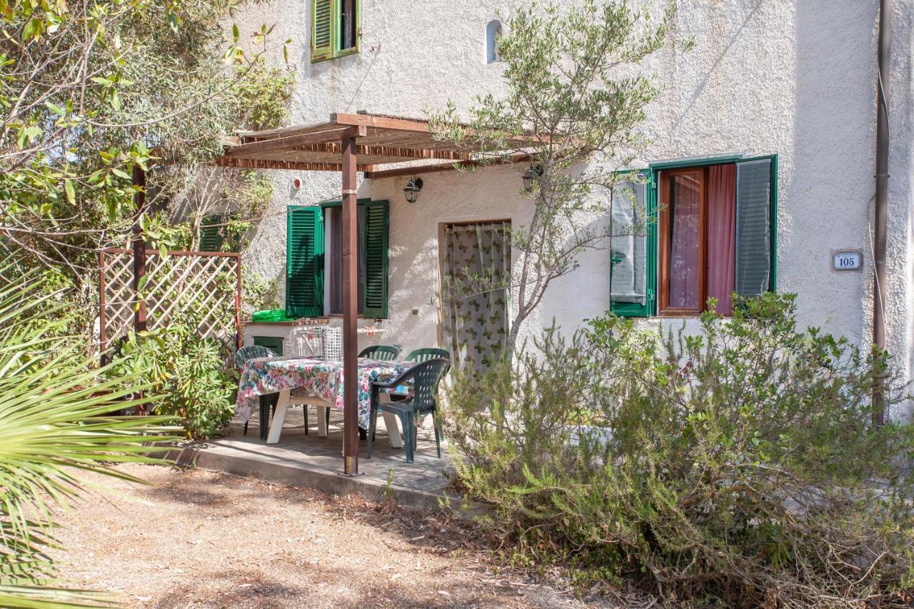 Casa L'antica Oliveta Apartment Lacona