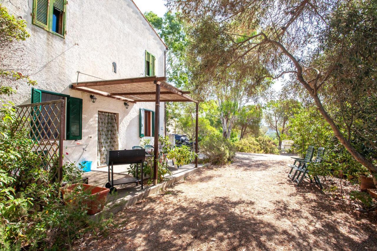 Apartment Casa L'antica Oliveta